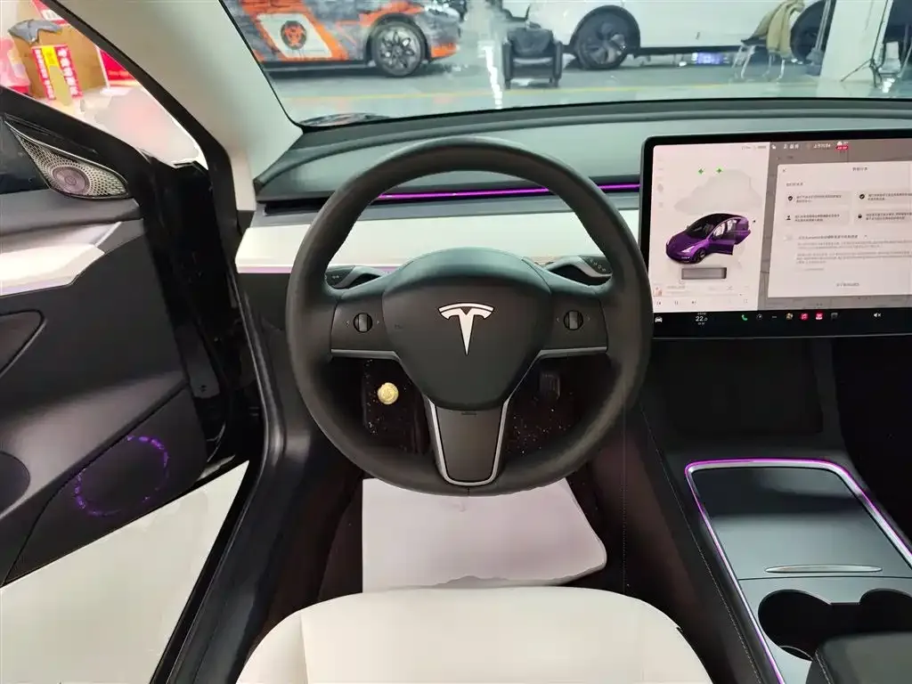 Tesla Model 3 2023 из CN, фото 4