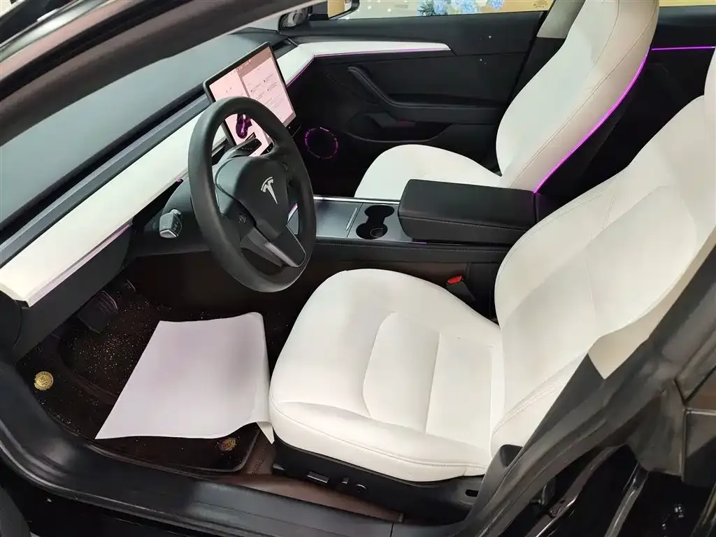 Tesla Model 3 2023 из CN, фото 5