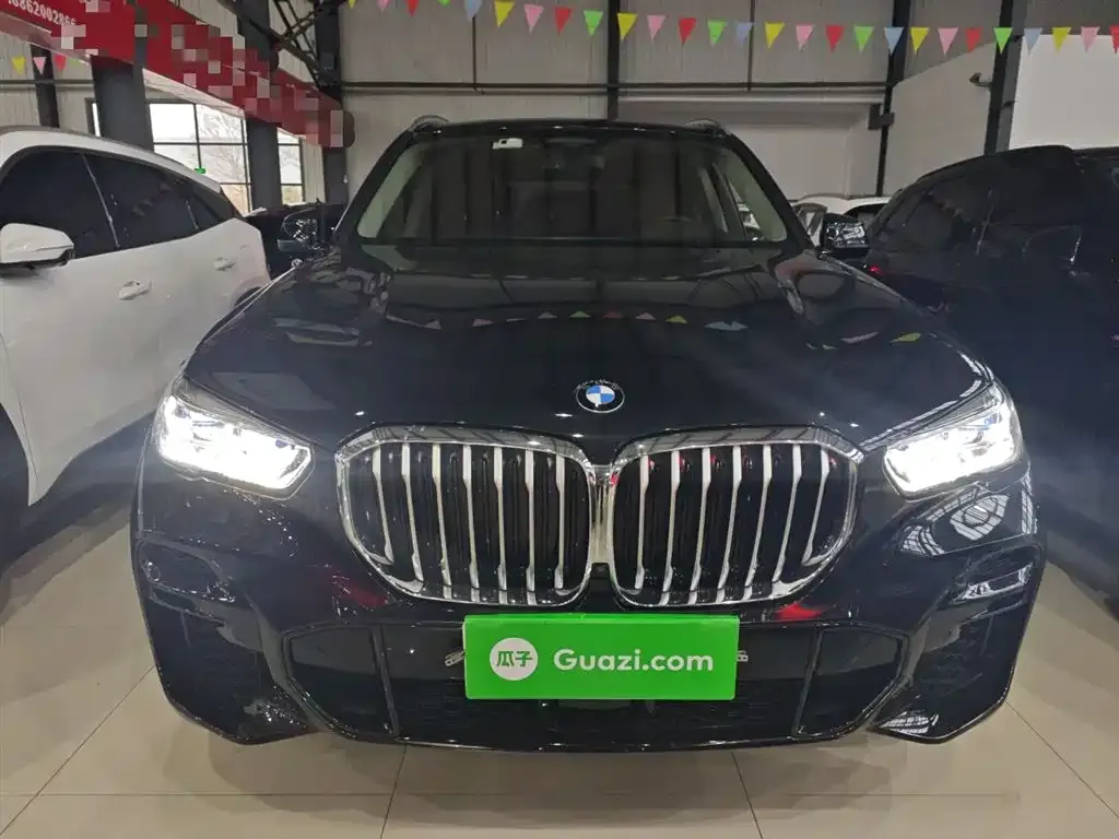 BMW X5 (Import) 2021 из CN, фото 5