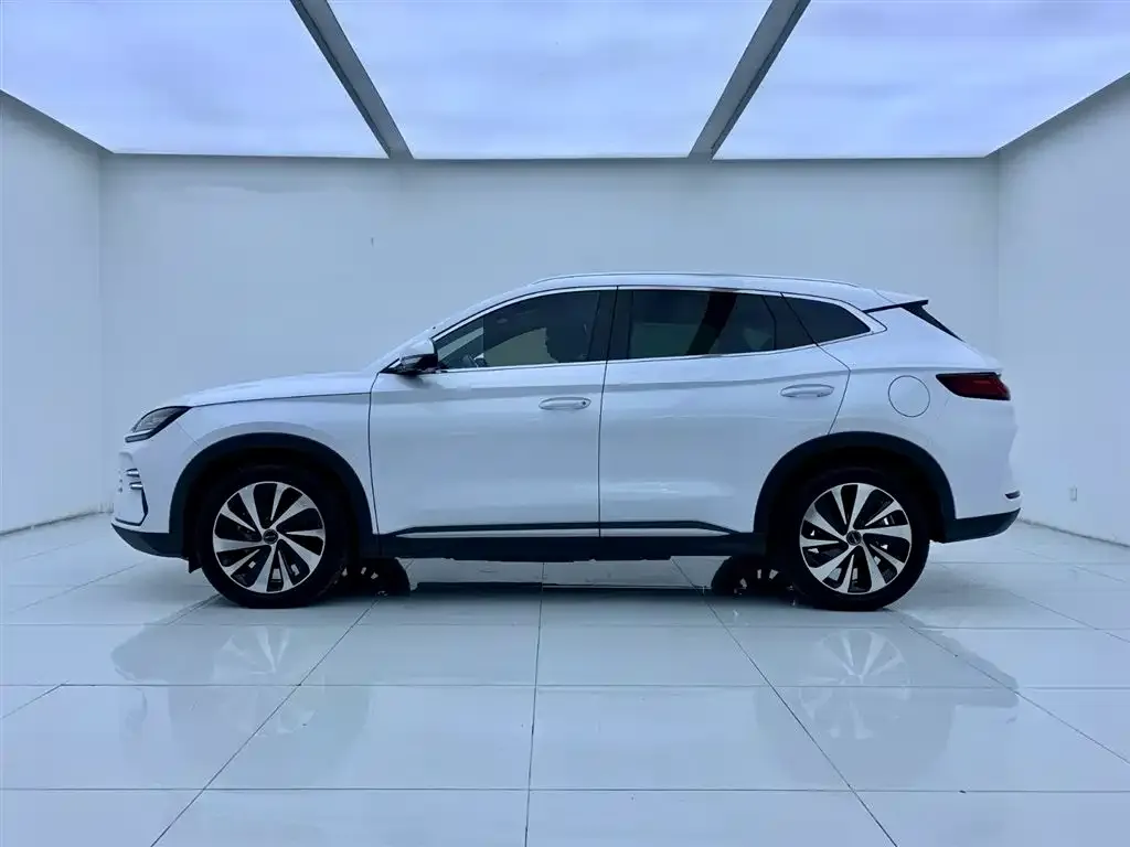 BYD PLUS New Energy — фото 3