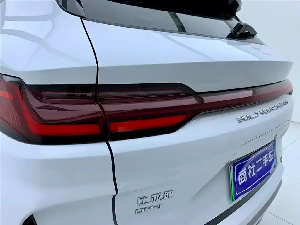 BYD PLUS New Energy — фото 6