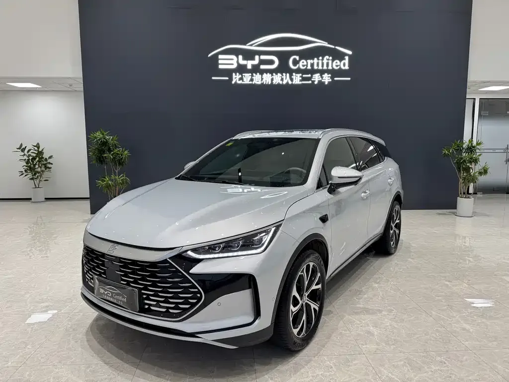 BYD Tang New Energy 2025 из CN, фото 1
