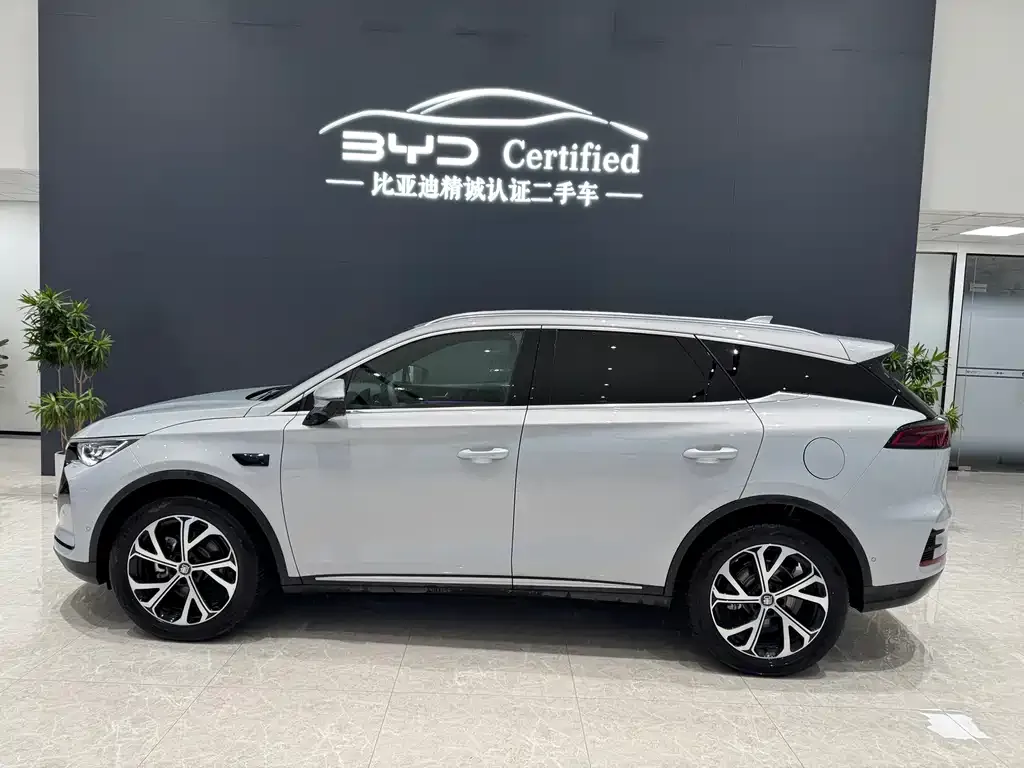 BYD Tang New Energy 2025 из CN, фото 9