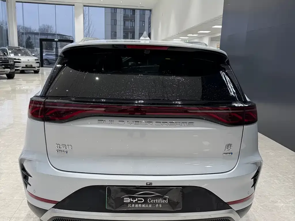 BYD Tang New Energy 2025 из CN, фото 4