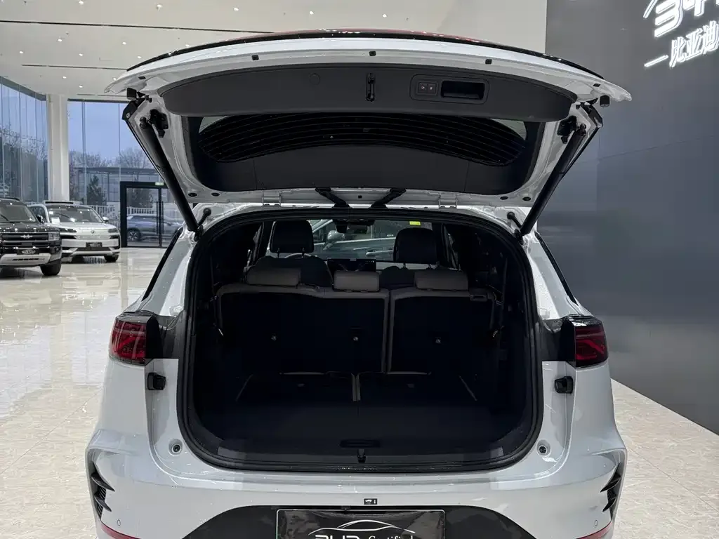 BYD Tang New Energy 2025 из CN, фото 6
