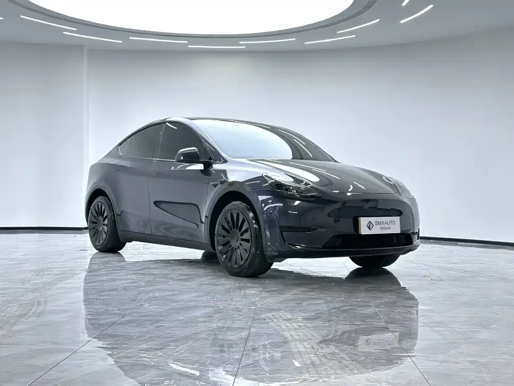 Tesla Model Y 2024 из CN, фото 4