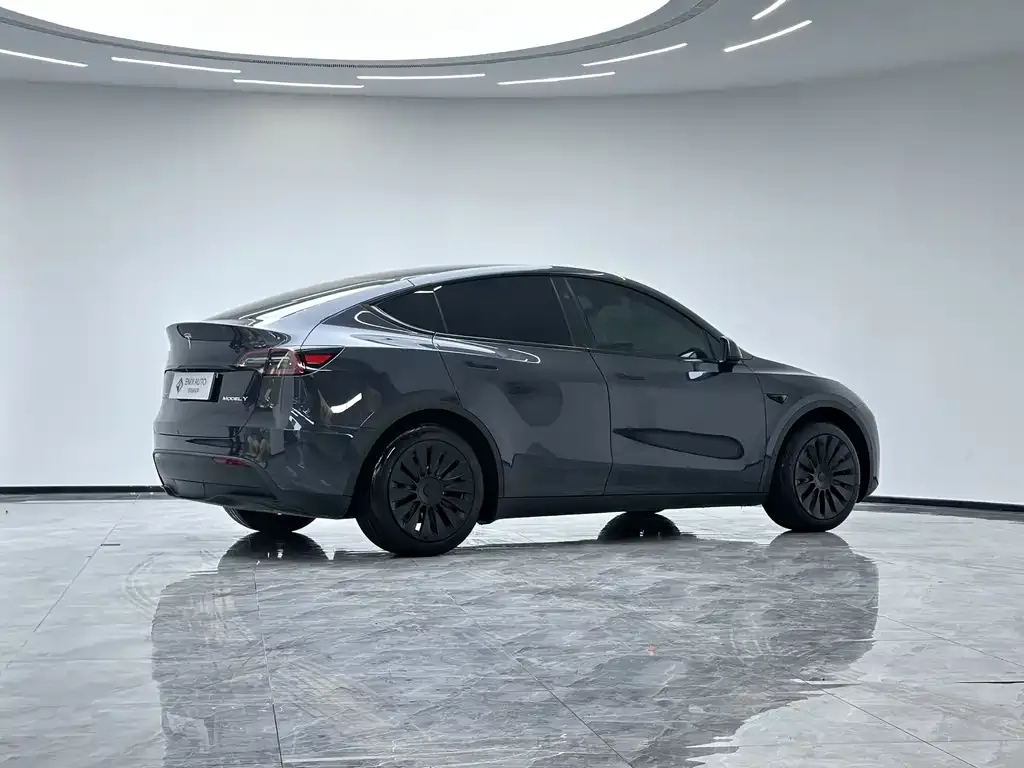 Tesla Model Y 2024 из CN, фото 6