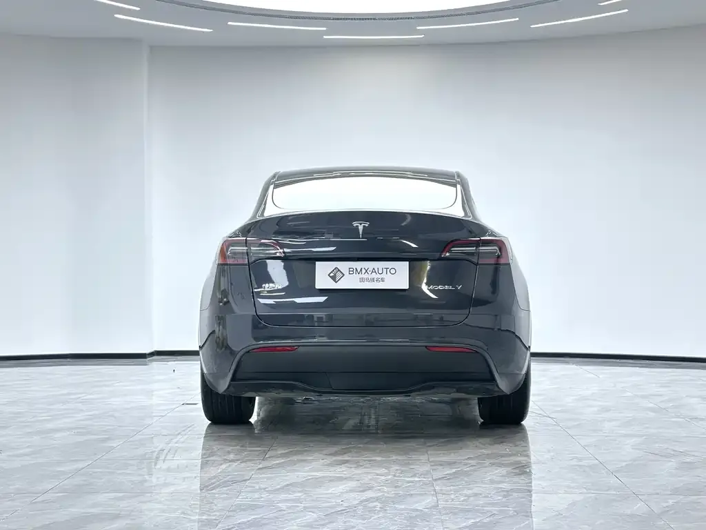 Tesla Model Y 2024 из CN, фото 2