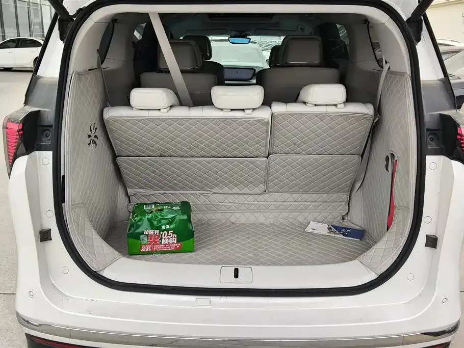 Buick GL8 Hybrid — фото 6
