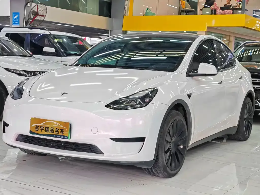 Tesla Model Y 2023 из CN, фото 1