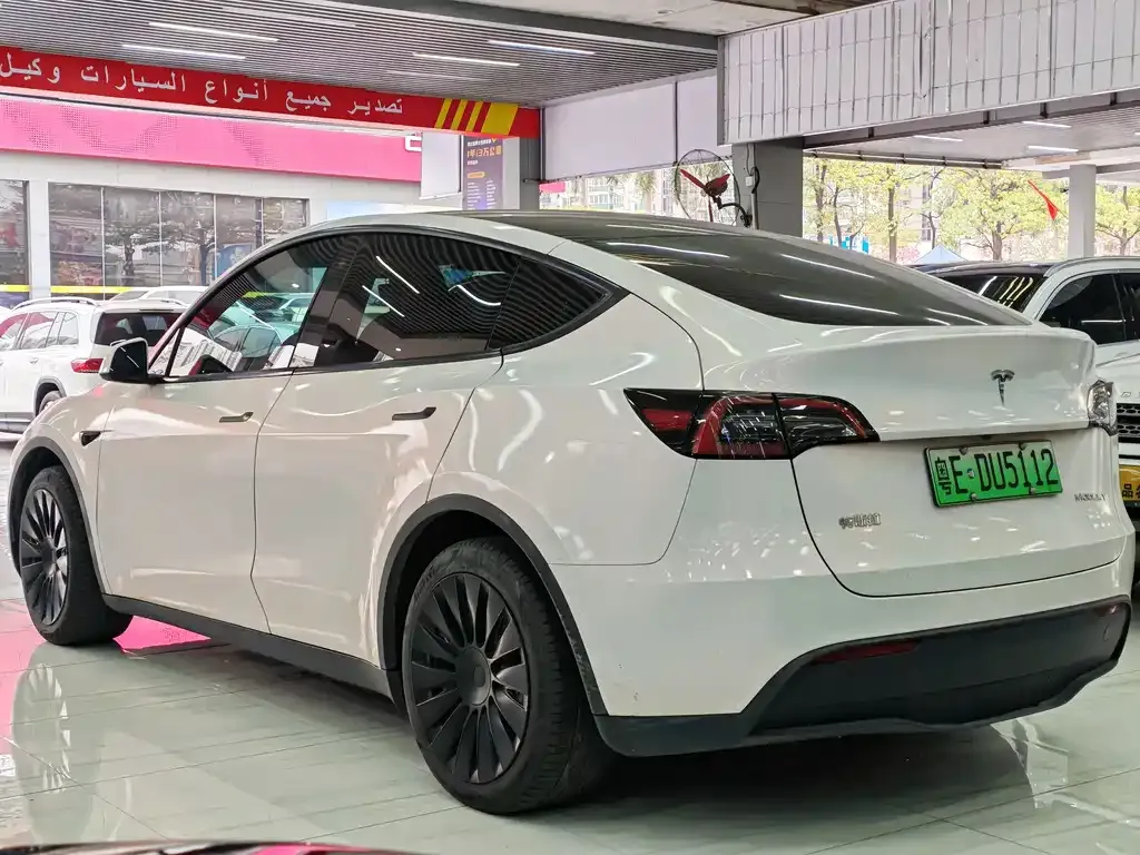 Tesla Model Y 2023 из CN, фото 10