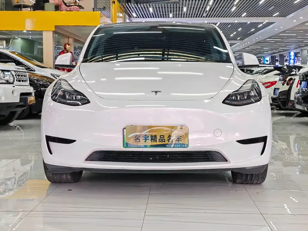 Tesla Model Y 2023 из CN, фото 3