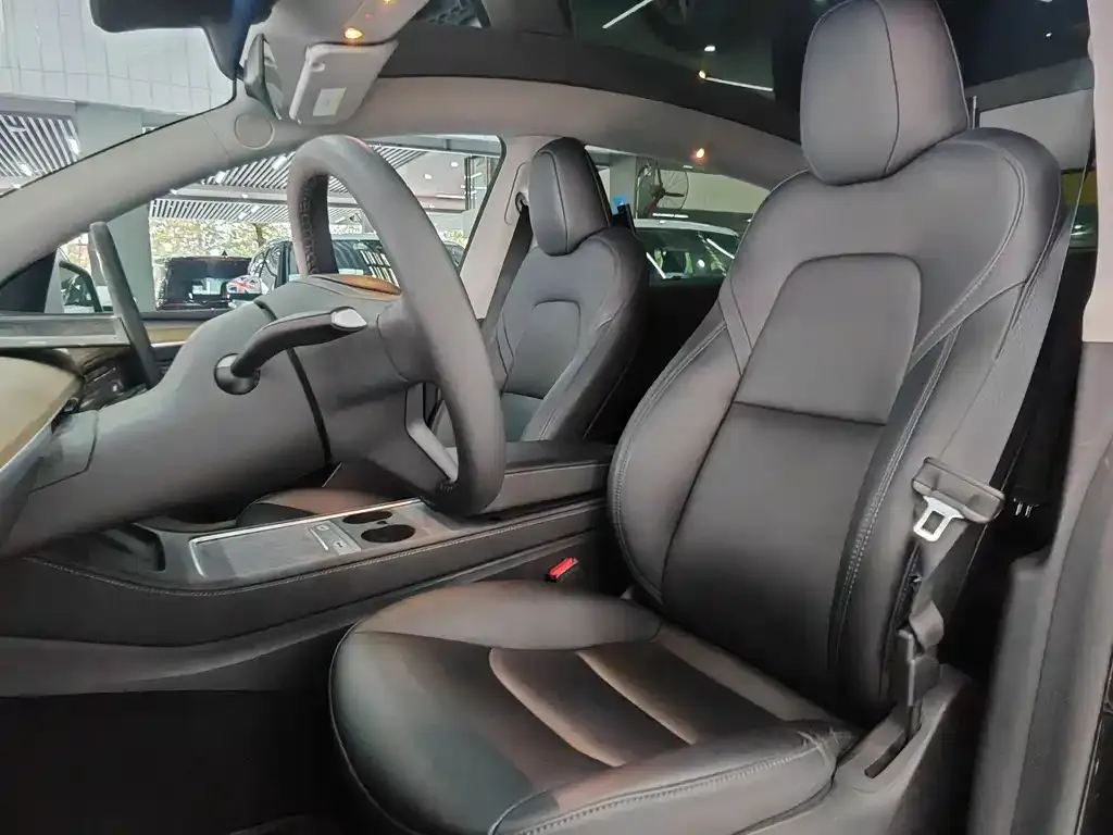 Tesla Model Y 2023 из CN, фото 5