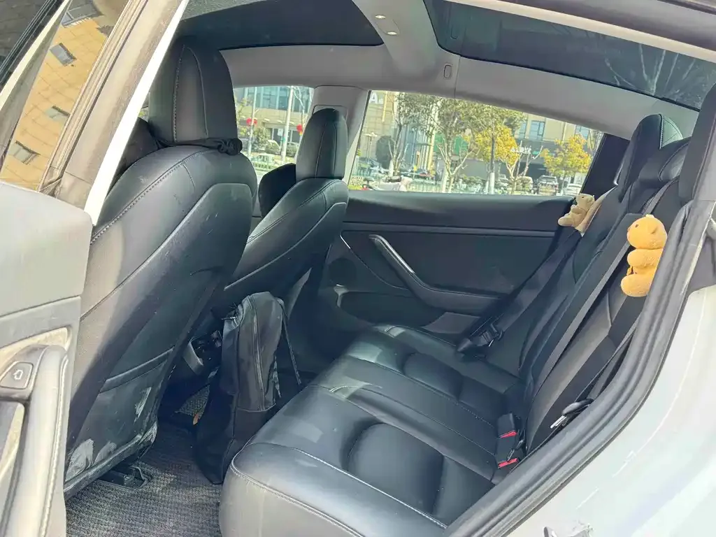 Tesla Model 3 2023 из CN, фото 3