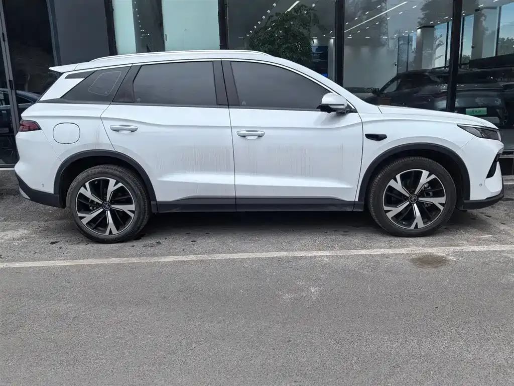 BYD Pro New Energy — фото 6