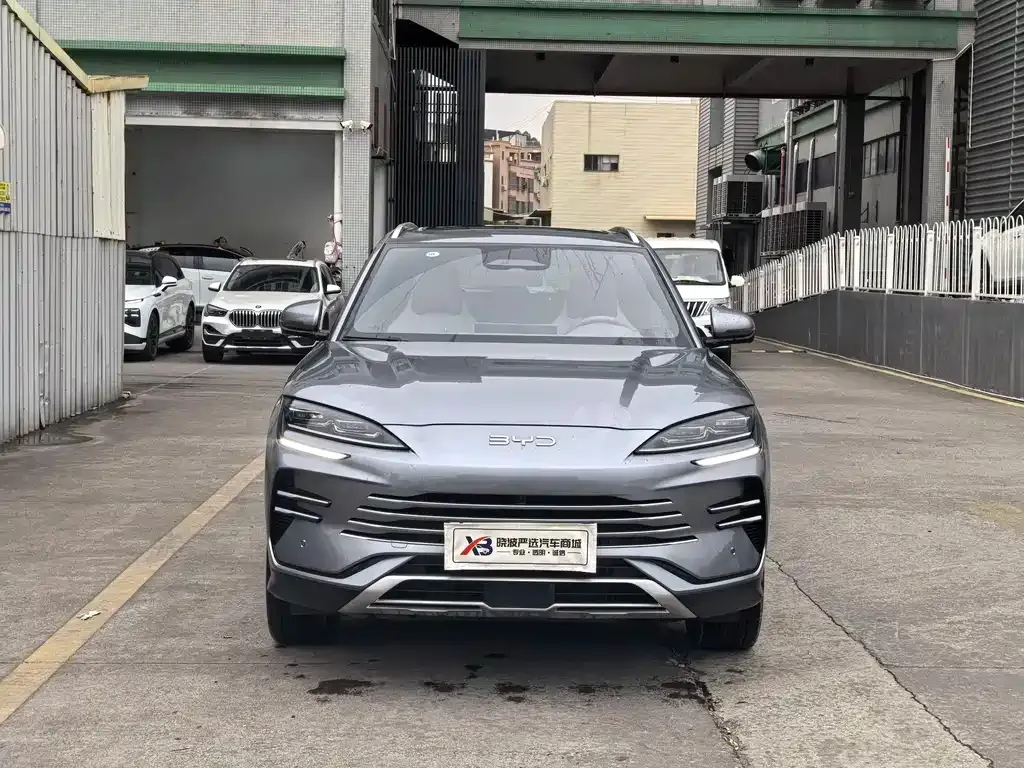 BYD PLUS New Energy 2025 из CN, фото 4