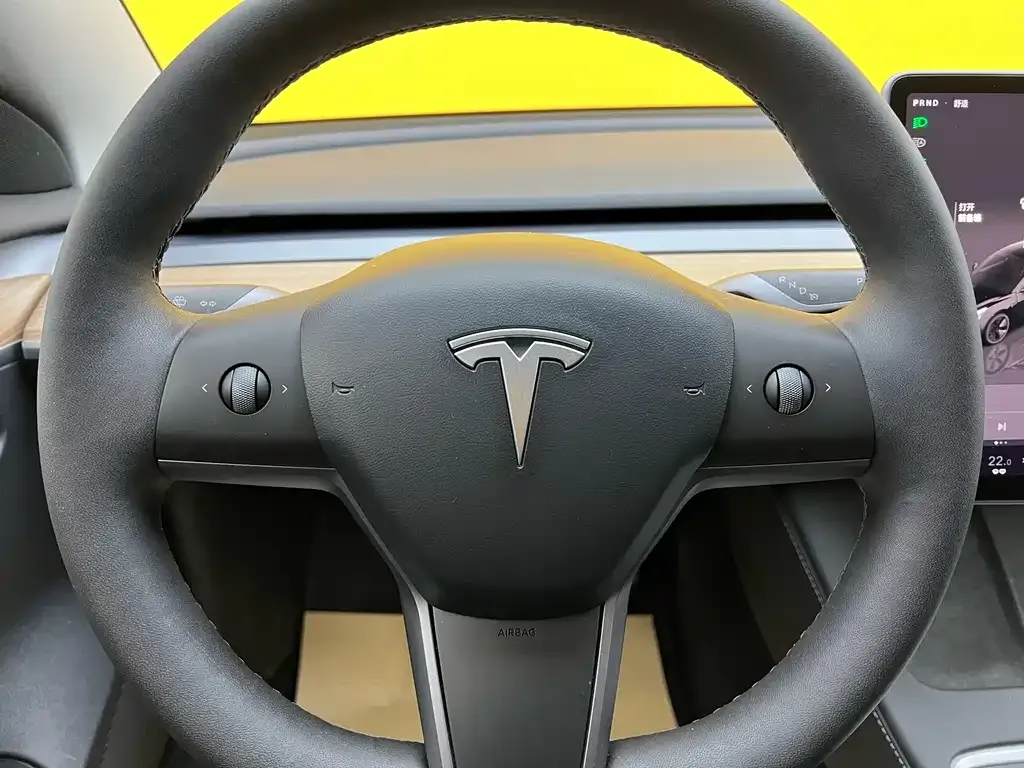 Tesla Model 3 2023 из CN, фото 6
