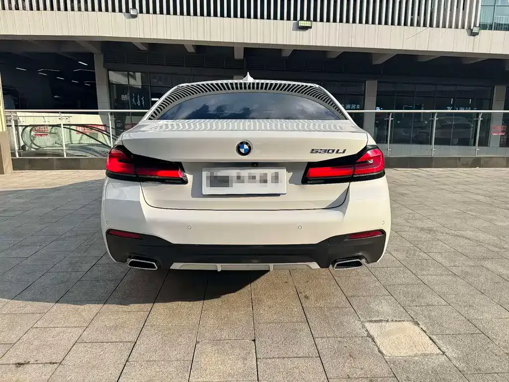 BMW 5 Series 2022 из CN, фото 9