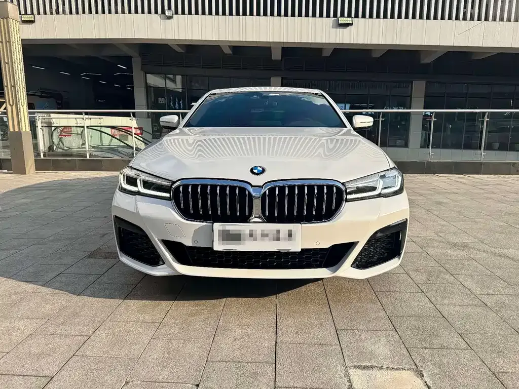 BMW 5 Series 2022 из CN, фото 8