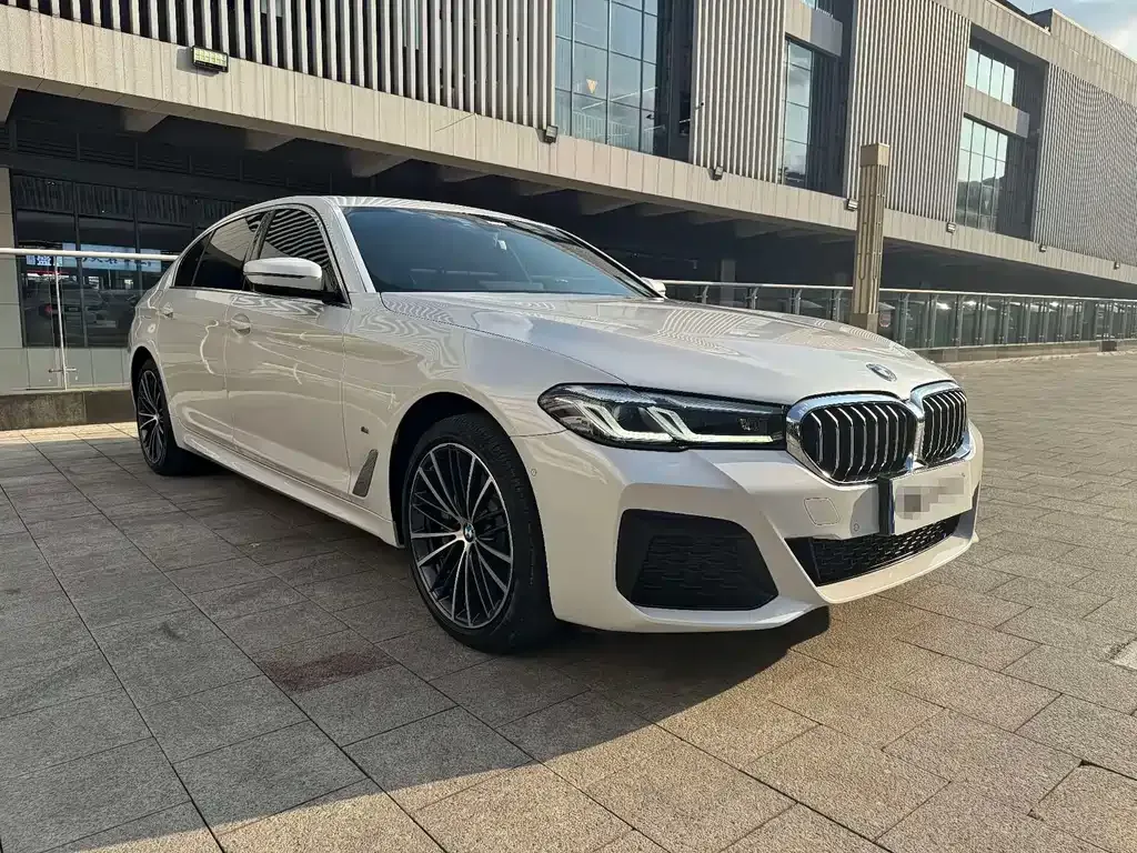 BMW 5 Series 2022 из CN, фото 6