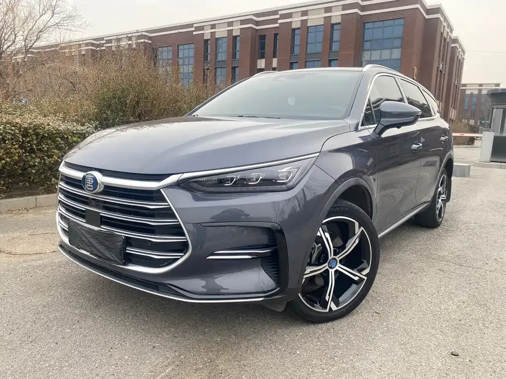 BYD Tang New Energy 2022 из CN, фото 1