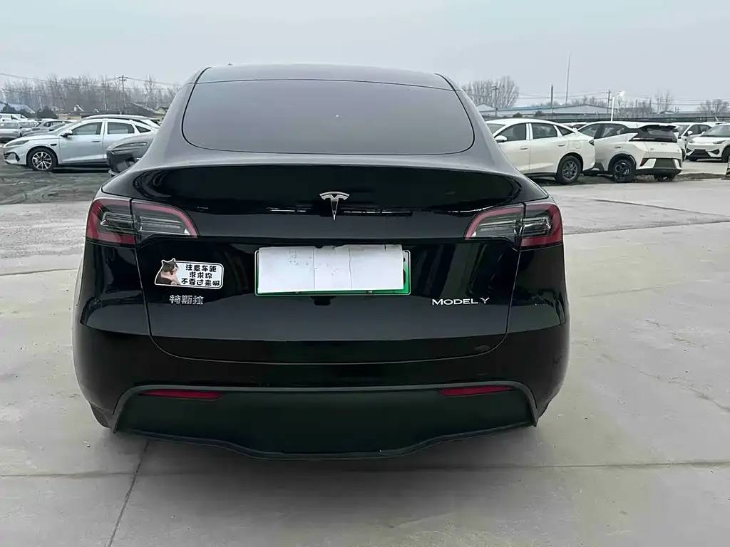 Tesla Model Y 2023 из CN, фото 4