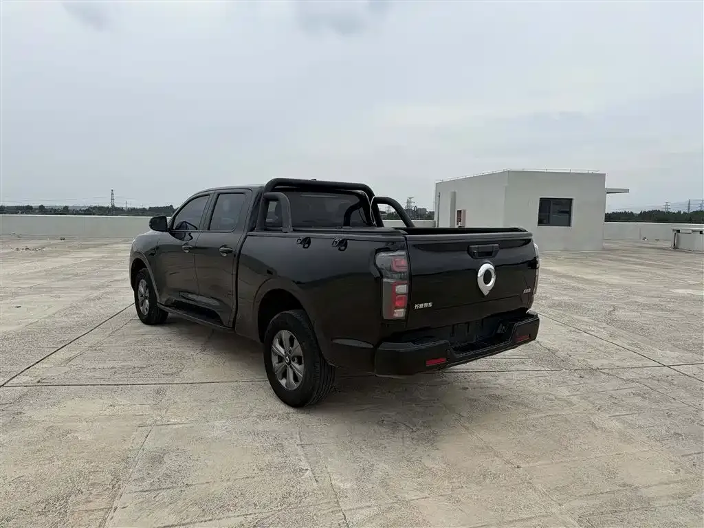 Great Wall Pao 2023 из CN, фото 4