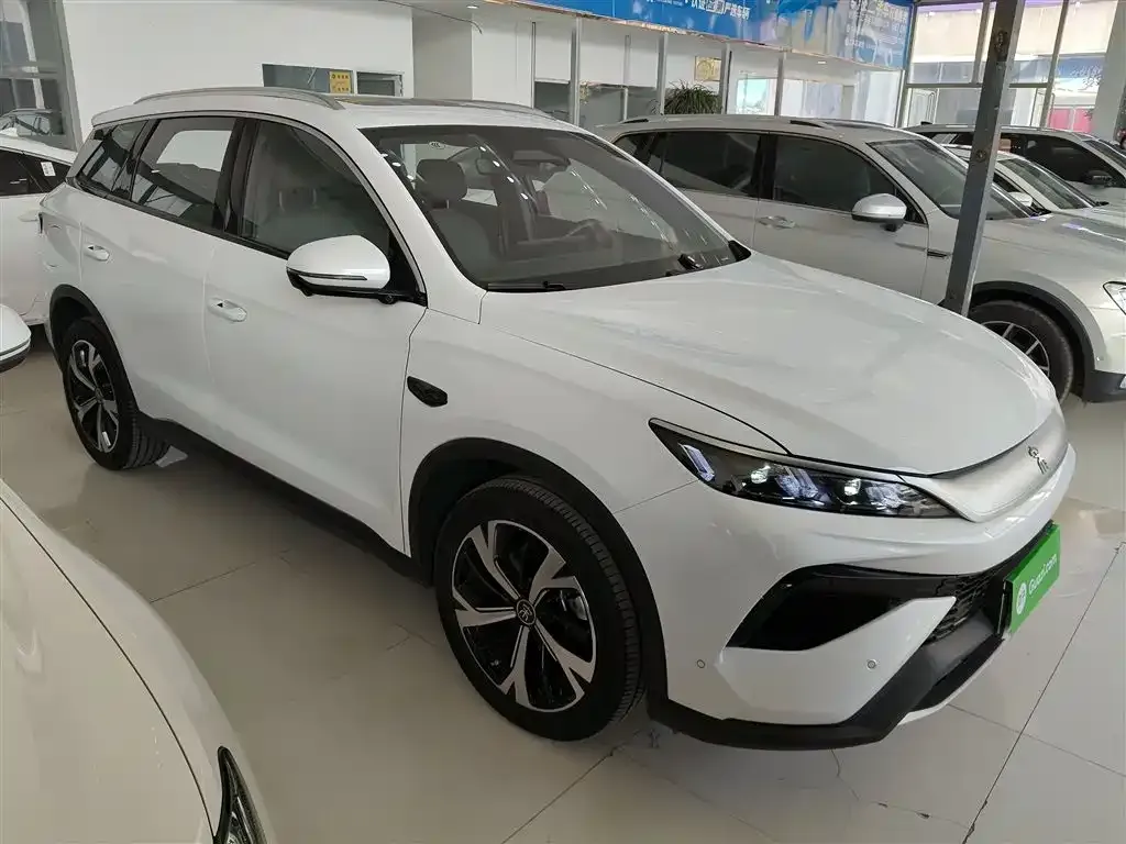 BYD Pro New Energy — фото 6
