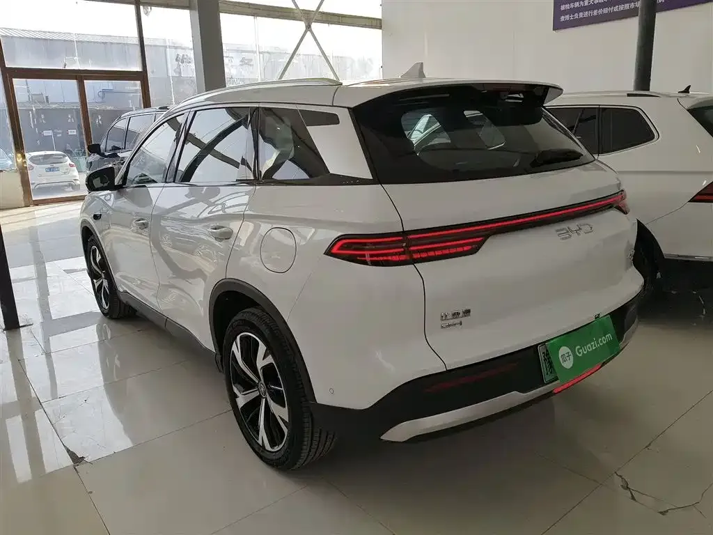 BYD Pro New Energy — фото 9