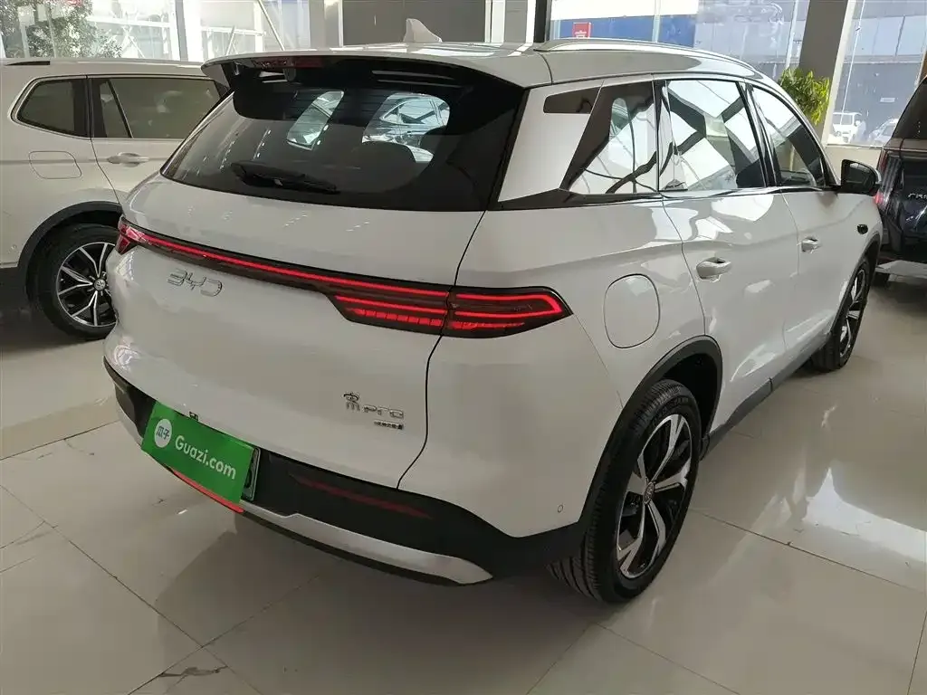 BYD Pro New Energy — фото 10