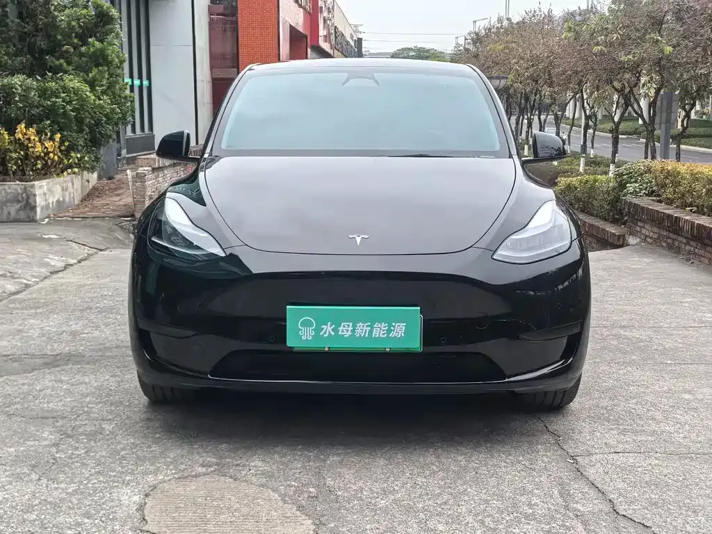 Tesla Model Y 2023 из CN, фото 9