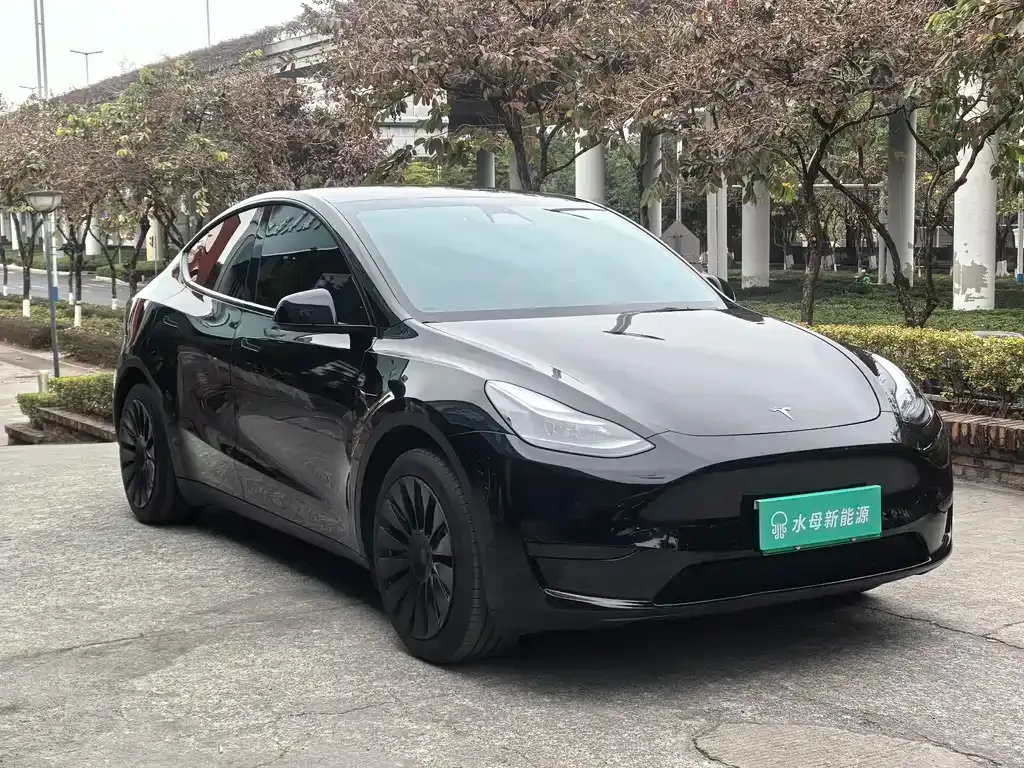 Tesla Model Y 2023 из CN, фото 3