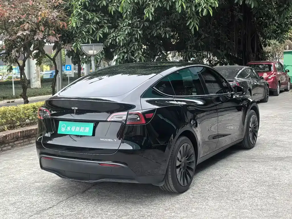 Tesla Model Y 2023 из CN, фото 5