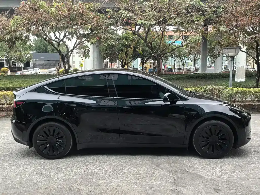Tesla Model Y 2023 из CN, фото 6