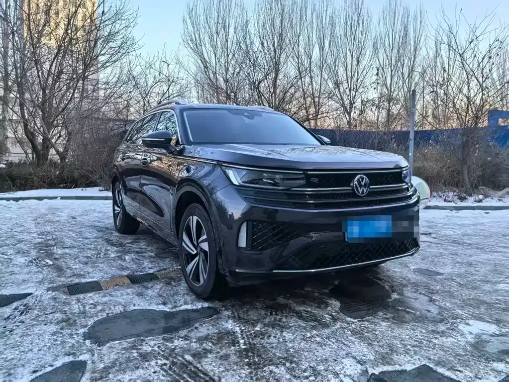 Volkswagen Tavendor 2025 из CN, фото 6