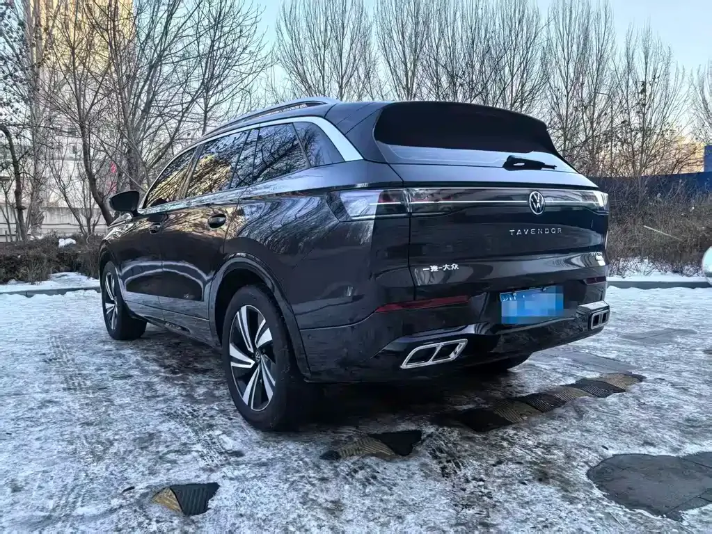 Volkswagen Tavendor 2025 из CN, фото 10