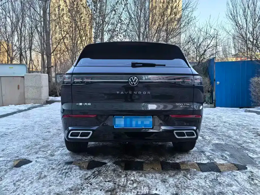 Volkswagen Tavendor 2025 из CN, фото 5