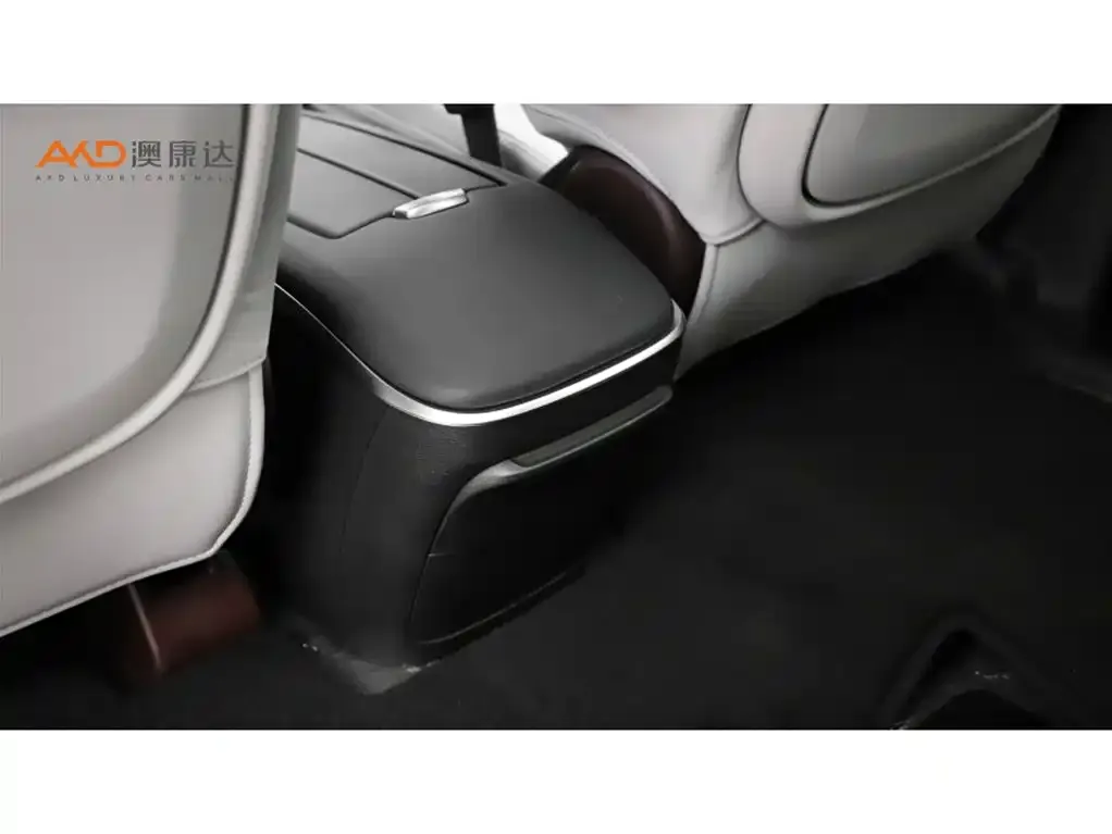 Buick GL8 2021 из CN, фото 6