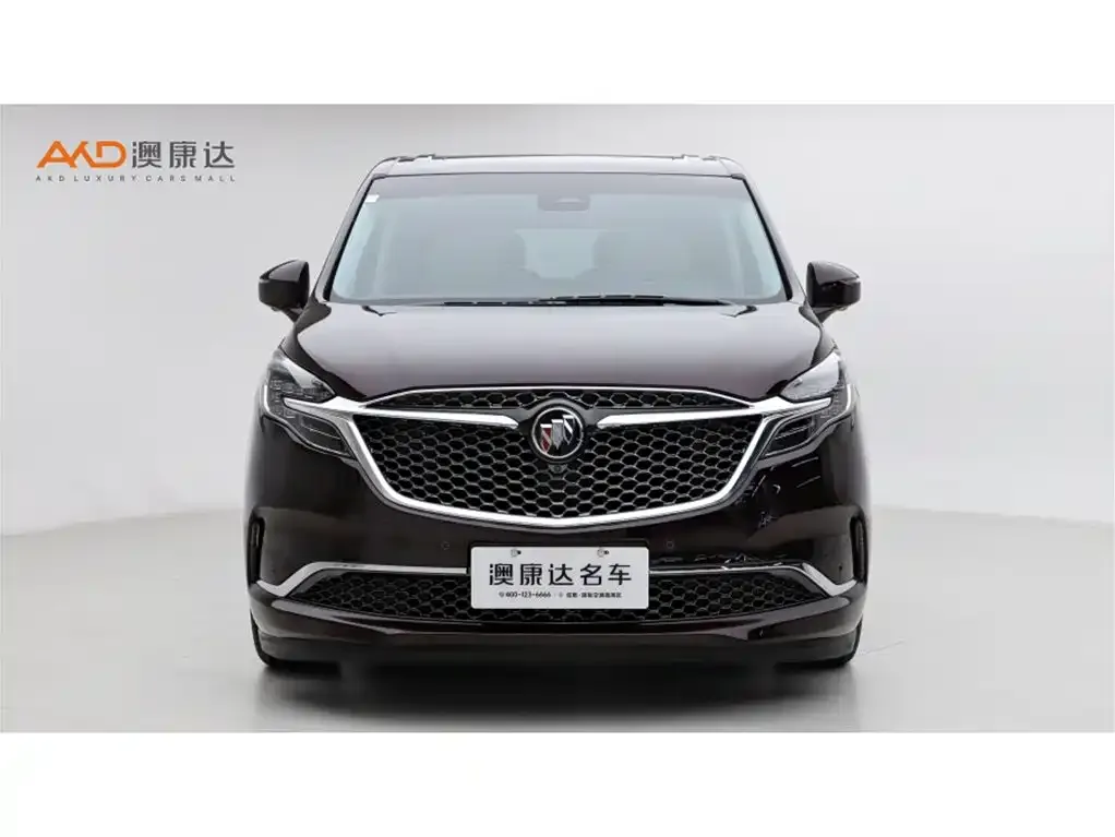 Buick GL8 2021 из CN, фото 10