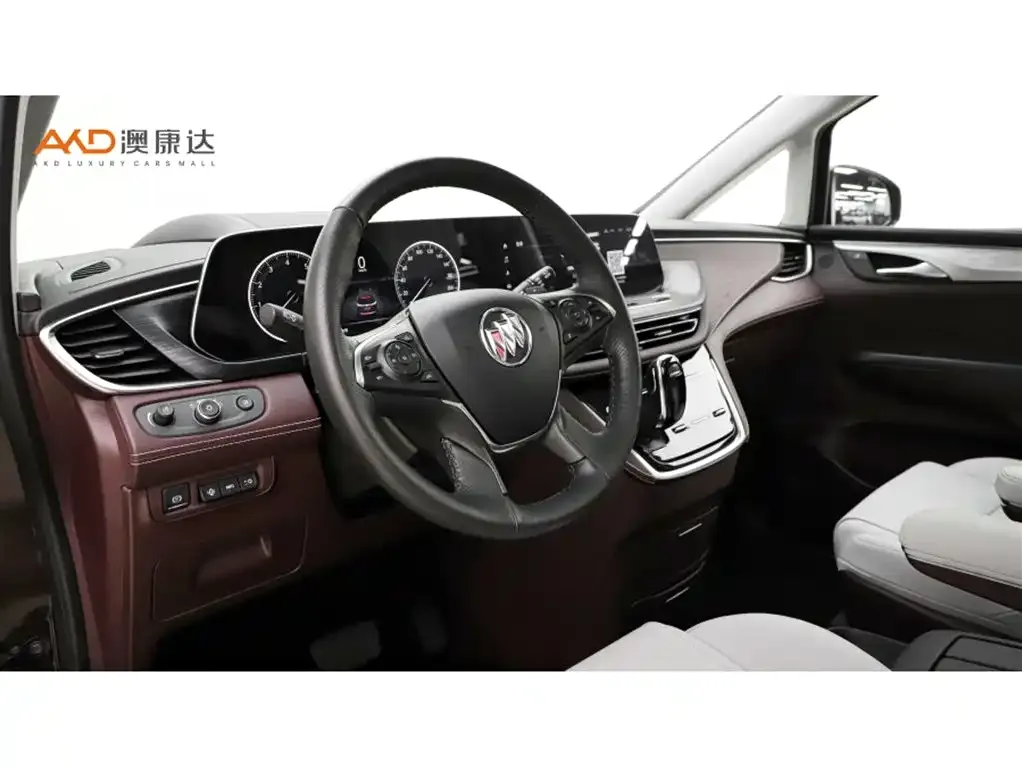 Buick GL8 2021 из CN, фото 4