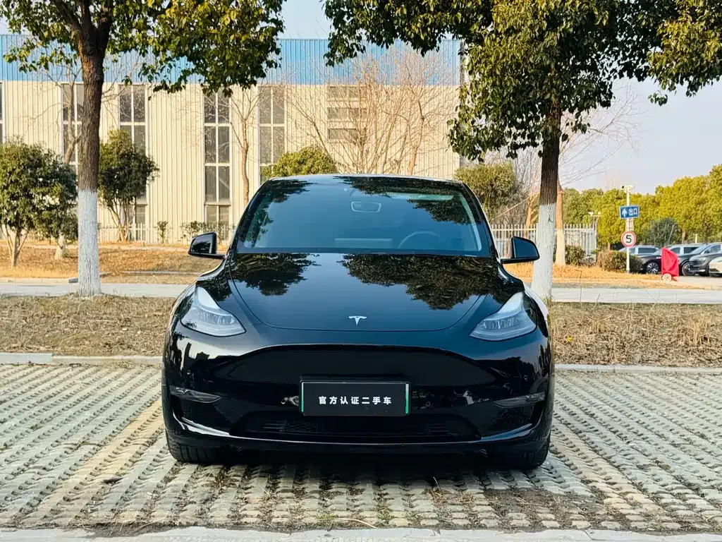 Tesla Model Y — фото 7