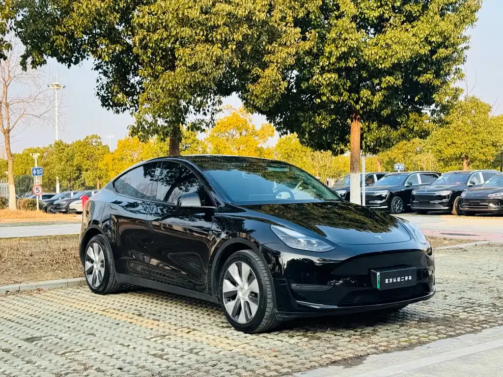 Tesla Model Y — фото 6