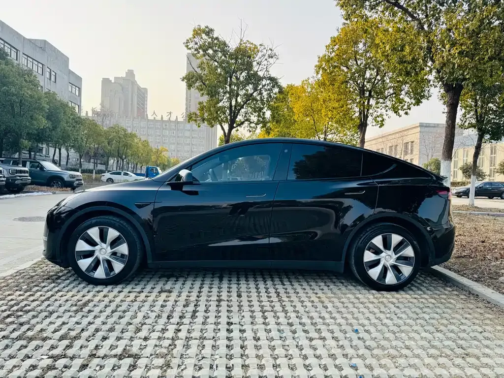 Tesla Model Y — фото 10