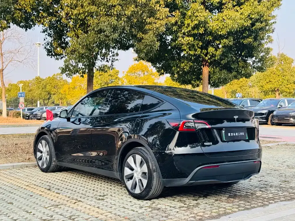 Tesla Model Y — фото 4