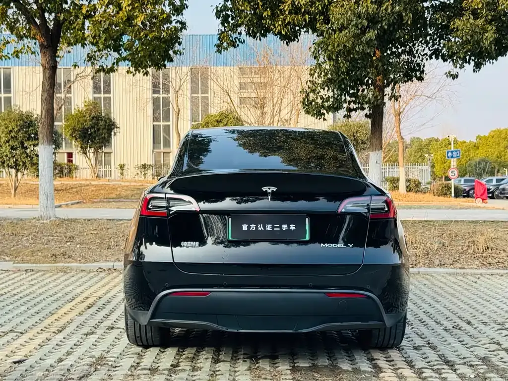 Tesla Model Y — фото 8