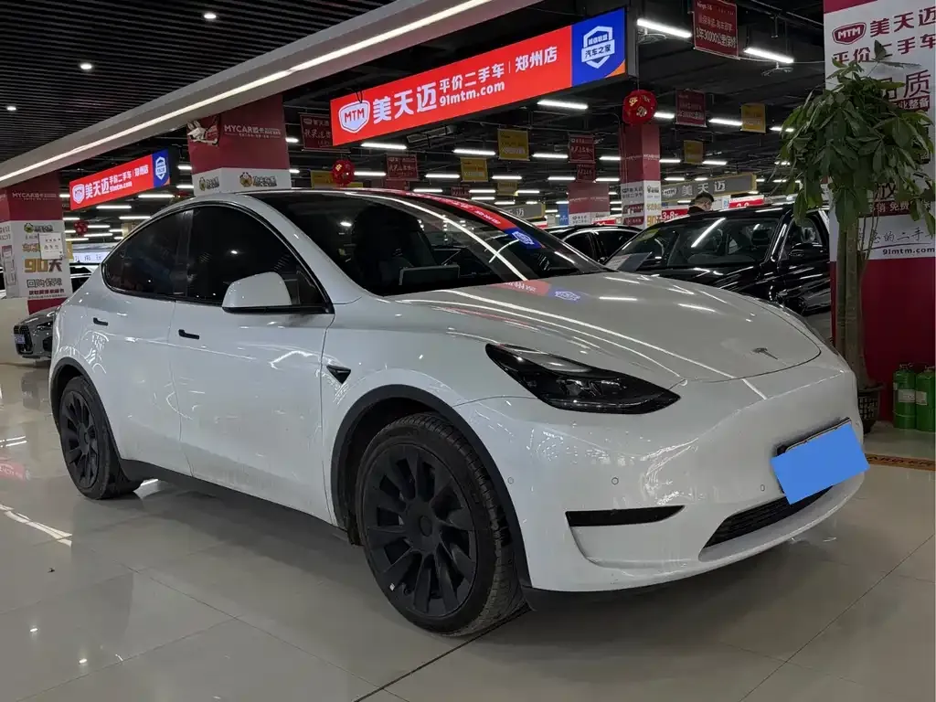 Tesla Model Y 2023 из CN, фото 2