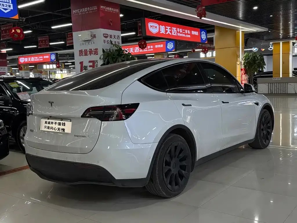 Tesla Model Y 2023 из CN, фото 8