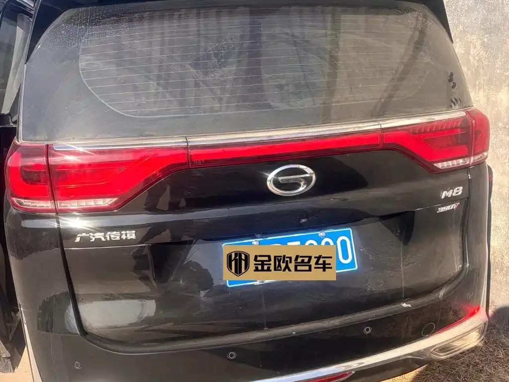 GAC Motor Trumpchi M8 2023 из CN, фото 7