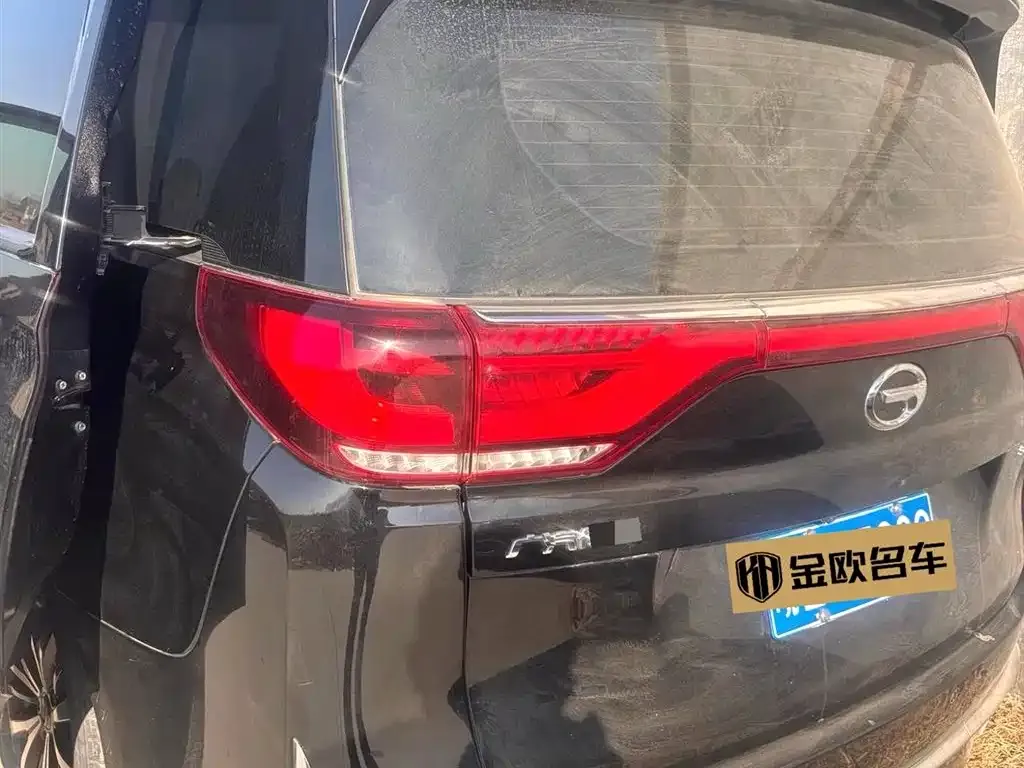 GAC Motor Trumpchi M8 2023 из CN, фото 4