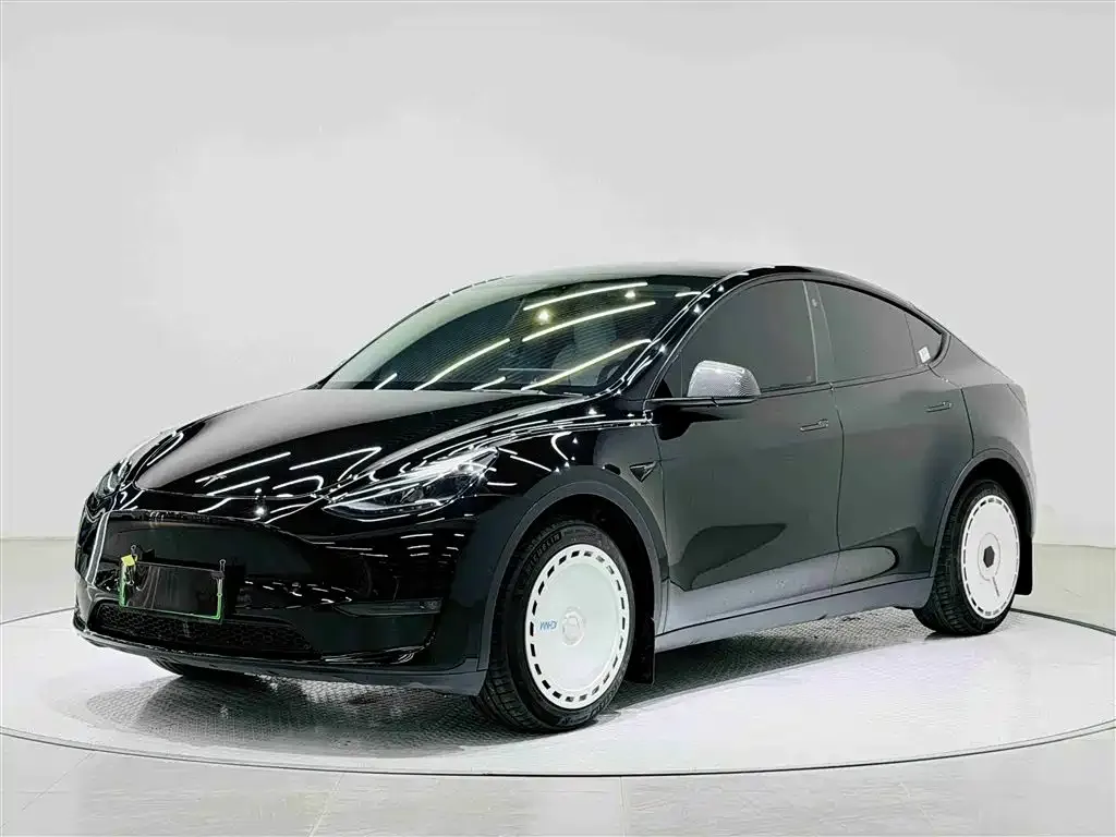 Tesla Model Y 2021 из CN, фото 1